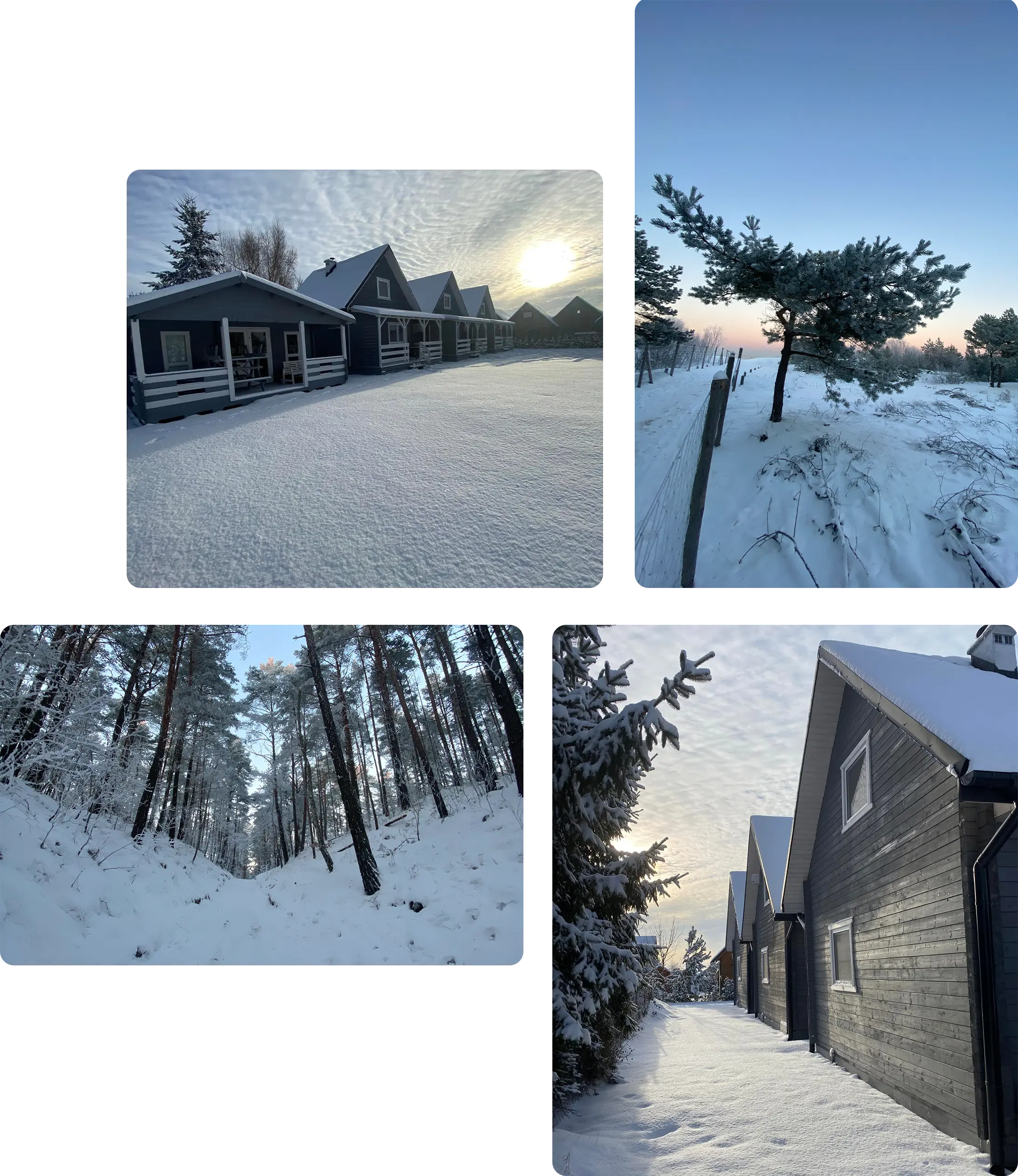 Piękna zima w Gdańsku - Przystanek Wyspa na Wyspie Sobieszewskiej